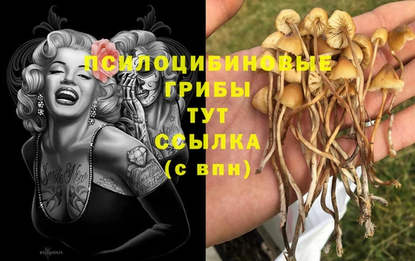 марки lsd Аркадак