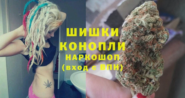 шишки Карпинск